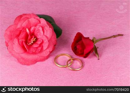 Two wedding rings, red rose and pink camellia flower for Valentine’s Day