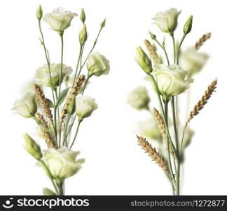 Two white roses bouquets and weat with blurr effect. Image over white background . Two Flower Bouquets Over White Background