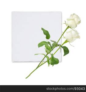 Two white roses on a long stem with green leaves and white paper card isolated on white background, side view
