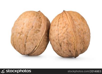 Two whole walnuts isolated on a white background. Two whole walnuts