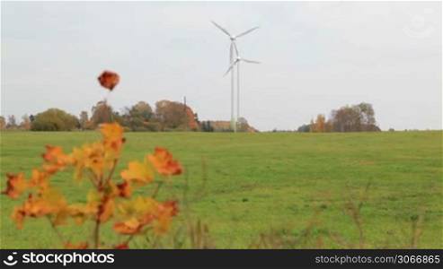 Two wind turbines in the field.