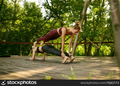 Two women doing balance exercise on group yoga training in summer park. Meditation, fit class on workout outdoors, relaxation practice. Fitness. Two women doing balance exercise, yoga training