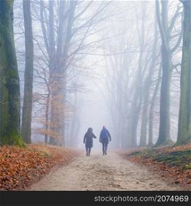 two women hike on foggy day in winter on sand path between beech trees in the netherlands