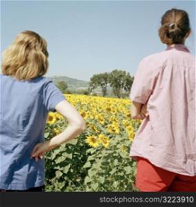 Two Women Looking Out Over A Sunflower Field