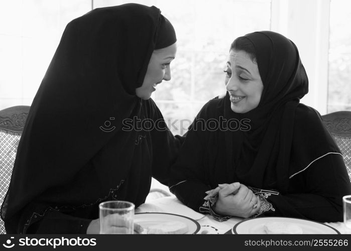 Two women sitting at dinner table smiling (high key)