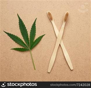 two wooden toothbrushes and green hemp leaf, plastic rejection concept, zero waste