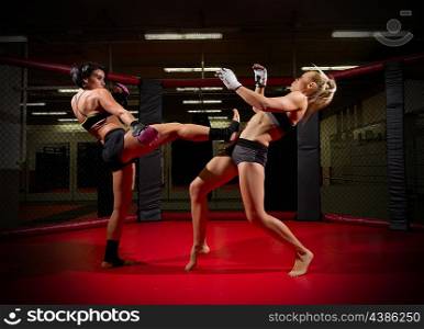 Two wrestler women in sports hall