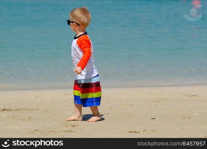 Two year old toddler boy in sunglasses walking on beach