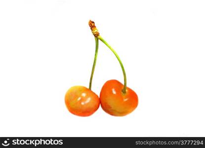 Two yellow cherries on a branch