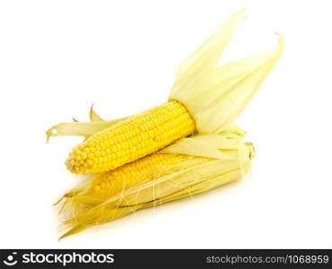 Two Yellow Corns Against The White Background. Corn