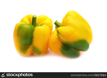 Two yellow peppers paprika isolated on white background