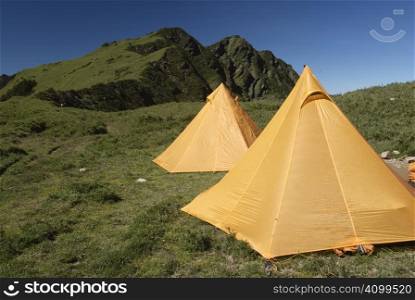 Two yellow tents just standing on grassland in Taiwan National Park.