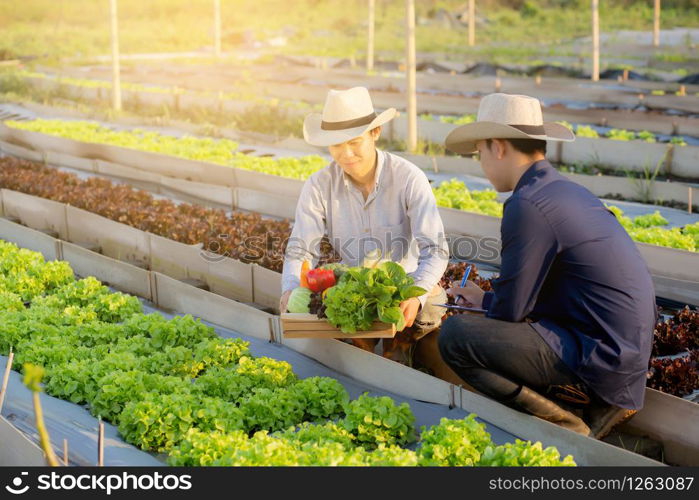 Two young asian man checking and picking up organic fresh vegetable in hydroponic farm and writing record document grow of leaf for quality produce, small business owner concept.