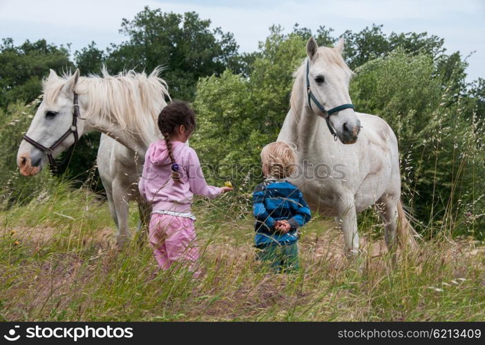 Two young children feeding two grey horses in a field