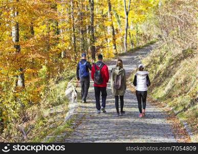 Two Young couples with a dog, walking in a park in autumn forest