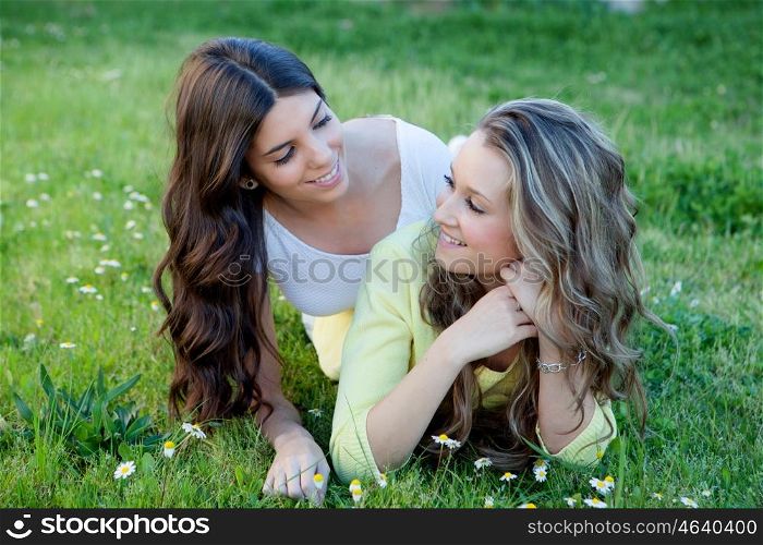 Two young girls resting on the grass. The best friends