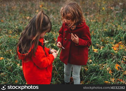 Two young sisters looking at wildflower pods in field