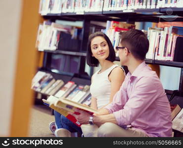 Two young students at the library. Two young students working together at the library