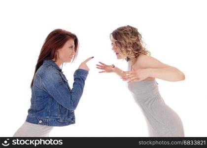 Two young woman standing opposite and fighting with words andpointing there finger, isolated for white background.