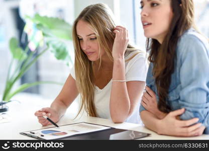 Two young women studying graphics on white desk. Beautiful girls working toghether wearing casual clothes.