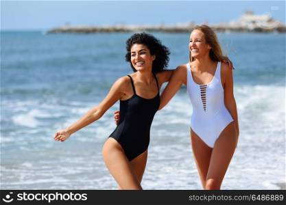 Two young women with beautiful bodies in swimsuit on a tropical . Two young women with beautiful bodies in swimwear on a tropical beach. Funny caucasian and arabic females wearing black and white swimsuits walking along the shore.