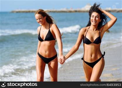 Two young women with beautiful bodies in swimwear on a tropical . Two young women with beautiful bodies in swimwear on a tropical beach. Funny caucasian and arabic females wearing black bikini walking along the shore holding hands.
