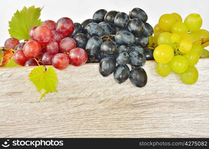 types of grapes on wood