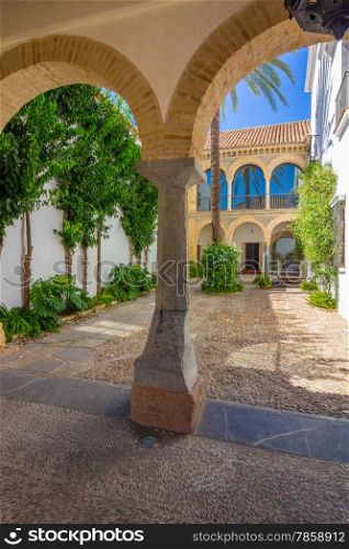 typical Andalusian courtyard decorated with flowers arches and columns in the city of Cordoba, Spain