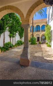 typical Andalusian courtyard decorated with flowers arches and columns in the city of Cordoba, Spain