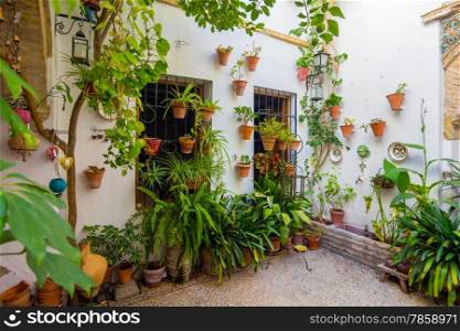 typical Andalusian courtyard decorated with flowers in the city of Cordoba, Spain