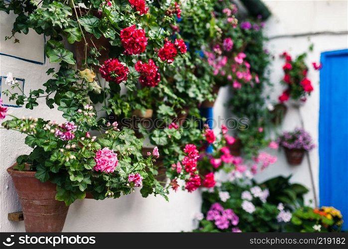 Typical andalusian courtyard in Cordoba, Andalusia Spain with a lot of plants