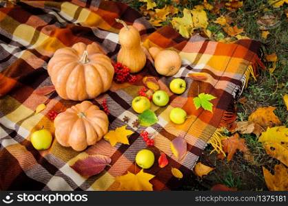 Typical autumn thanksgiving still life with blanket, pumpkins, apples, berries and coffee cups. Autumn thanksgiving still life