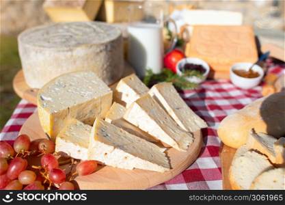 Typical cheese from the Taleggio Valley Brembana Italian Alps