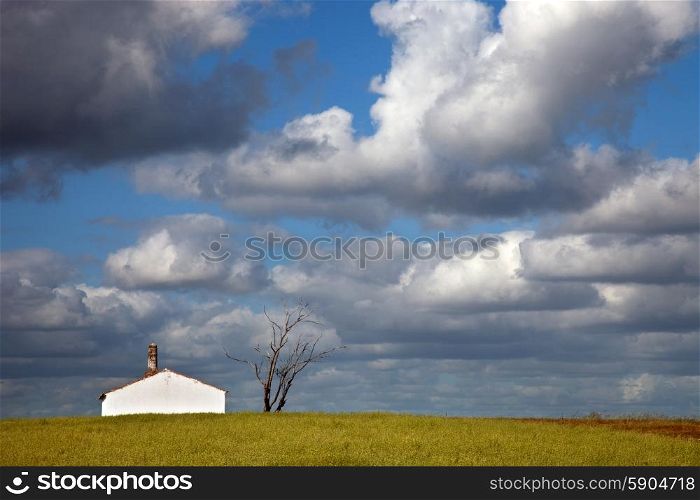 typical country house in a green field of Alentejo, Portugal