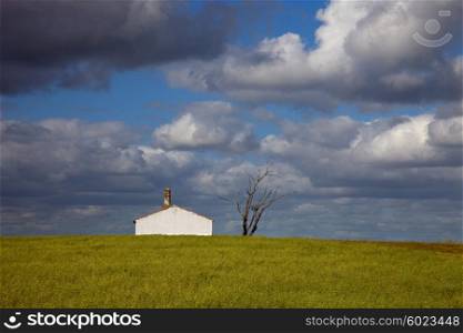 typical country house in a green field of Alentejo Portugal
