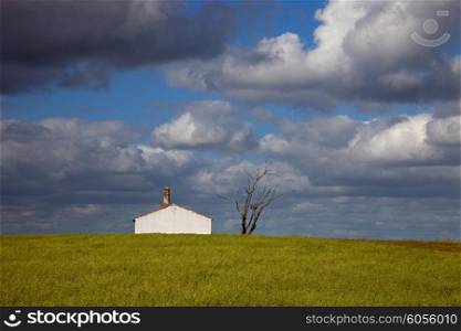 typical country house in a green field of Alentejo Portugal