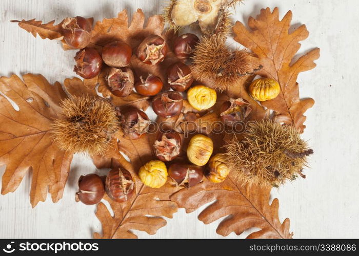 Typical delicious warm chestnuts in autumn season