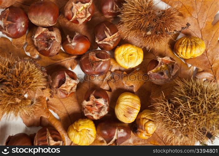 Typical delicious warm chestnuts in autumn season