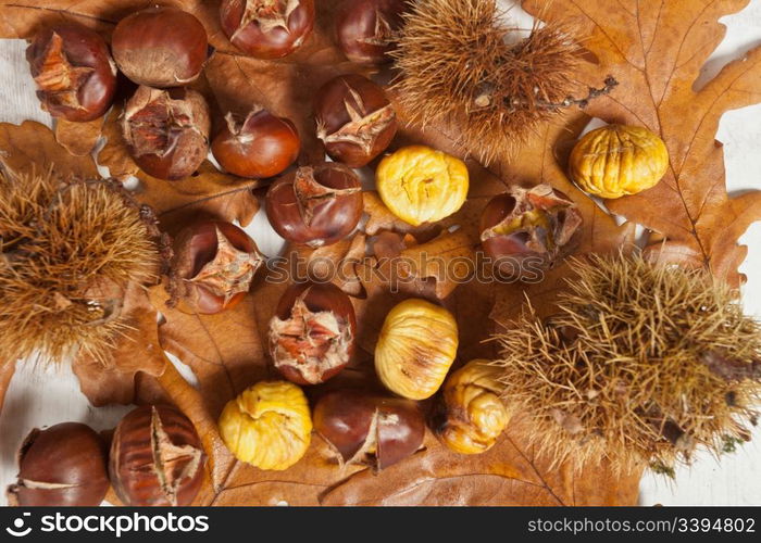 Typical delicious warm chestnuts in autumn season