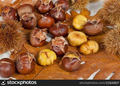 Typical delicious warm chestnuts in autumn season