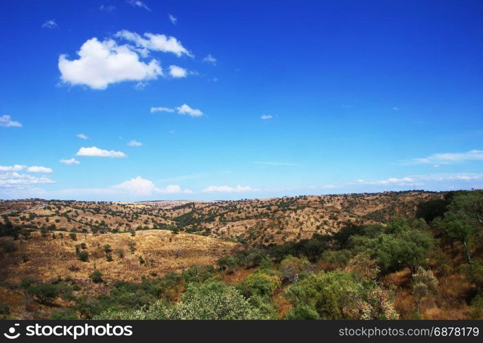 typical dry landscape of Alentejo region,south of Portugal
