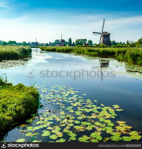 Typical Dutch landscape