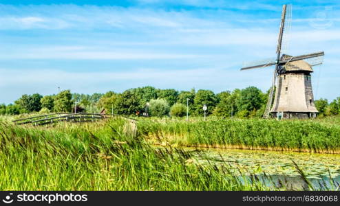 Typical Dutch landscape