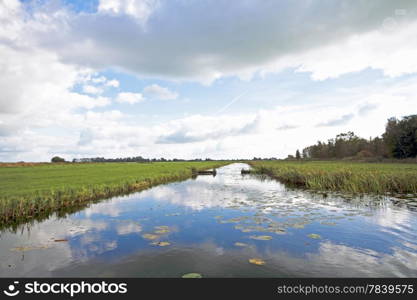 Typical dutch landscape in the Netherlands