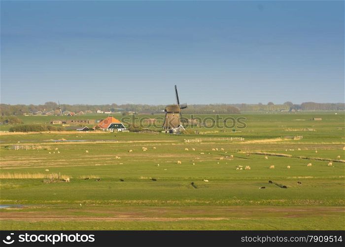 typical dutch landscape with sky and windmill