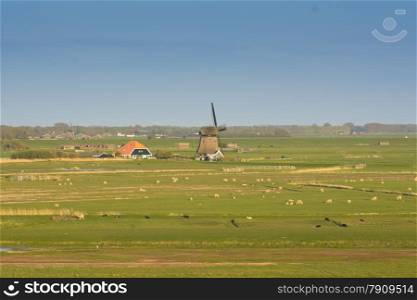 typical dutch landscape with sky and windmill