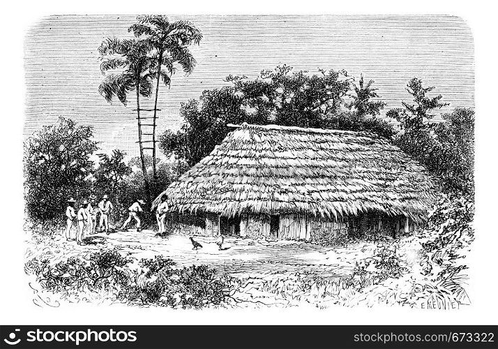 Typical Dwelling in the Town of Cuembi in Amazonas, Brazil, drawing by Riou from a photograph, vintage engraved illustration. Le Tour du Monde, Travel Journal, 1881