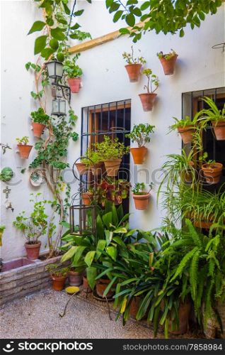 Typical French windows with grills and decorative flowers in the city of Cordoba, Spain