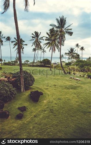 Typical green scene from Hawaii, where vegetation and grass reach the shore line. Green vegetation, palm trees and cloudy sky near the sea in Hawaii, US