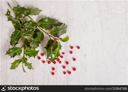 Typical holly and red berries for christmas time decoration